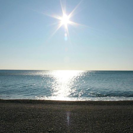 Apartments Galija Petrovac Exteriér fotografie